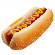 Toasted Hot Dog