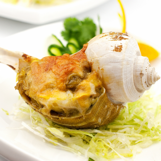 Conch Portion (16 oz)
