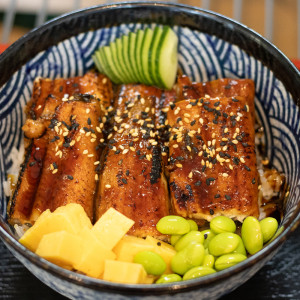 Unagi Don