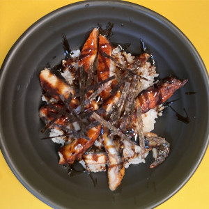 Unagi Donburi