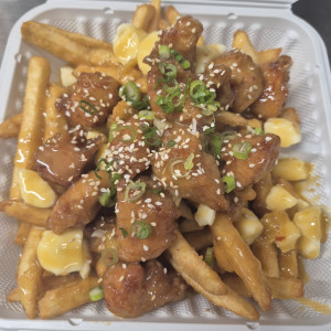 Orange Chicken Fries