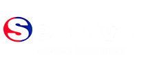 Seoulville logo