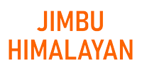 Jimbu Himalayan
