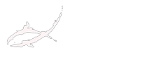 Toro Sushi Bar & Grill logo
