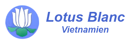 Lotus Blanc Vietnamien logo