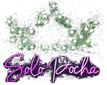 SOLO POCHA logo