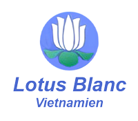 Lotus Blanc Vietnamien
