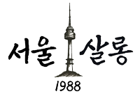 Seoul Salon 1988