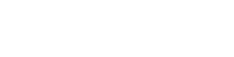 Chinese Dumplings logo