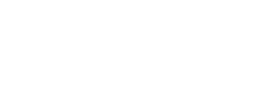 Iron Wok | Chinese Cuisine logo