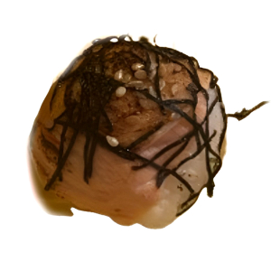 Salmon Miso Glazed Nigiri