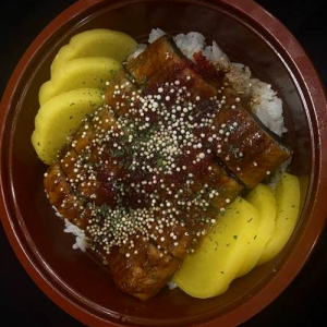 Unagi Don