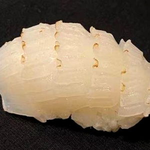 Squid Torch Sushi (3 pcs)