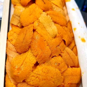 Japanese Uni (1 Set)