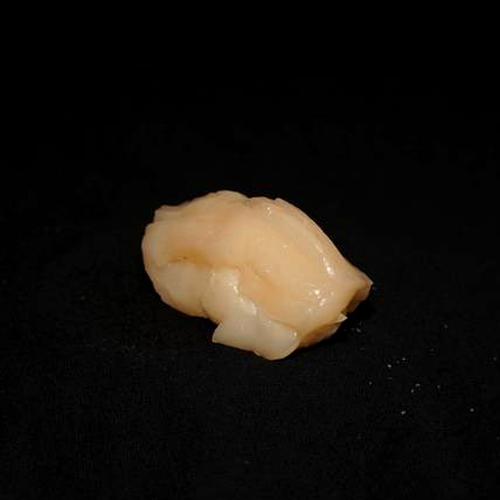 Scallop Sushi (3 pcs)