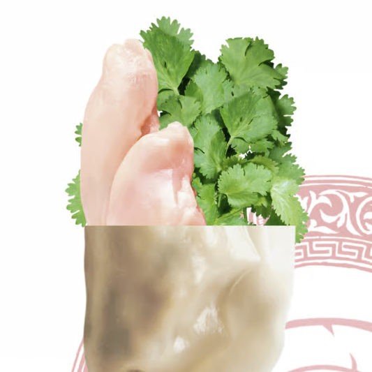 Chicken and Coriander Dumplings
