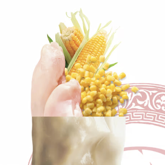 Chicken and Corn Dumplings