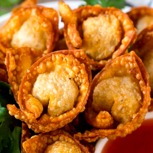 Deep-Fried Wontons Combo