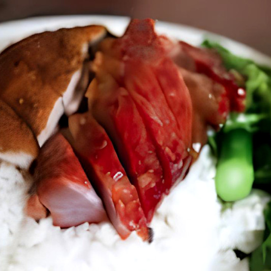 BBQ Duck and Roast Pork on Rice