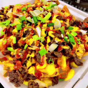 Bulgogi Cheese Fries
