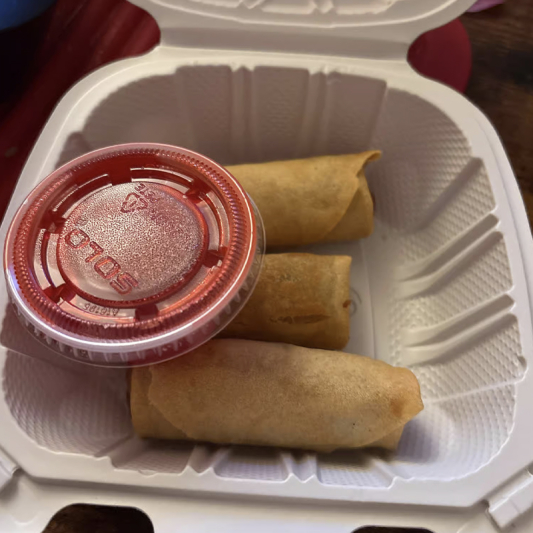 Vegetarian Spring Rolls