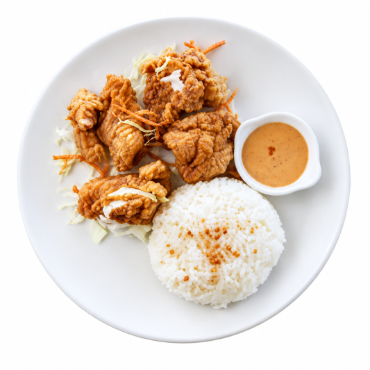 Tasty Bites Chicken with Rice