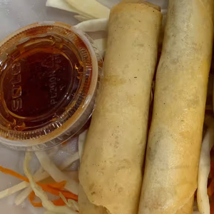 Vegetarian Fried Spring Rolls