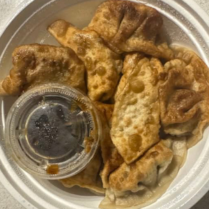 Fried Pork Dumplings