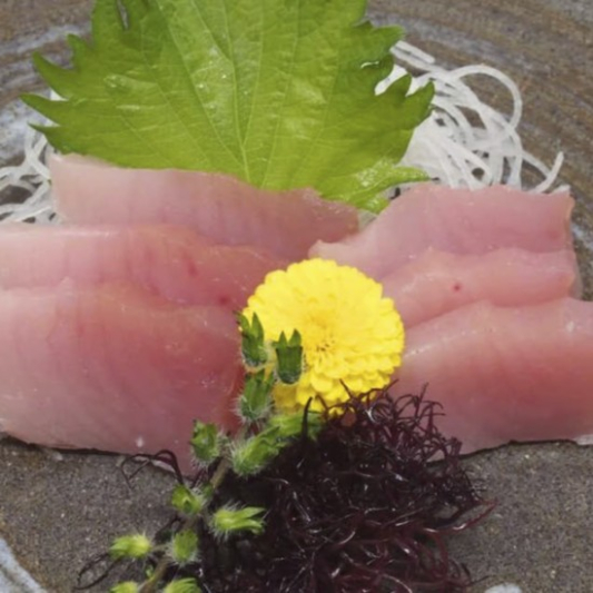 Albacore Tuna Sashimi (5 pcs) (Lunch)
