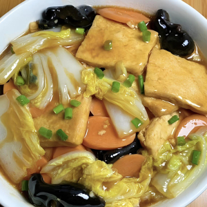 Homestyle Tofu 家常豆腐