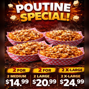 Poutine Special