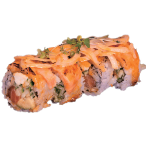 Salmon Lover Roll (10 pcs)