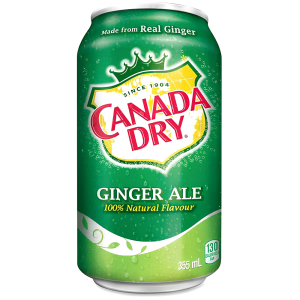 Ginger Ale (355 ml)