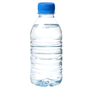 Bottle of Water (500 ml)