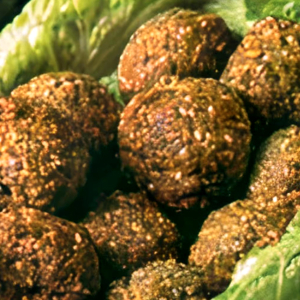 Vegetarian Falafel Plate