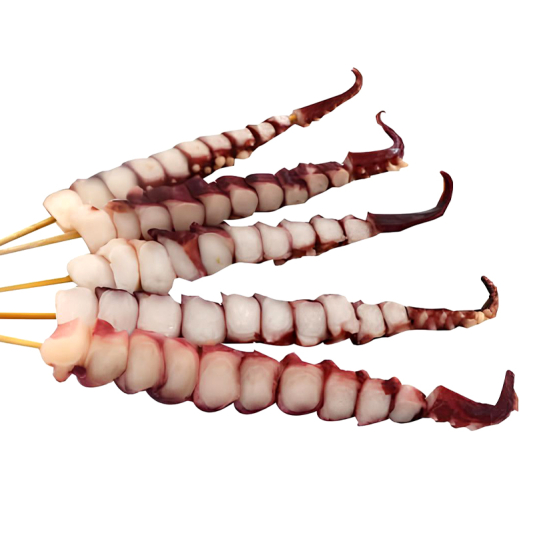 B02. Octopus Tentacle 石家庄铁板鱿鱼大王龙珠串