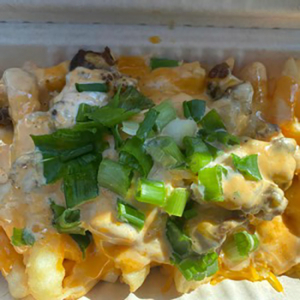 Bulgogi Fries