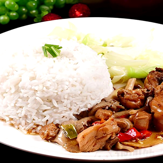 Chicken with Vegetable on Rice 时菜鸡片饭