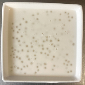 D4. Tapioca with Coconut Milk