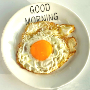 60. Fried Egg 煎 蛋 