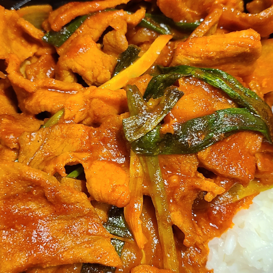 21. Spicy Pork Rice Bowl / 제육덮밥