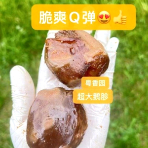 Crispy and Chewy Braised Goose Gizzards