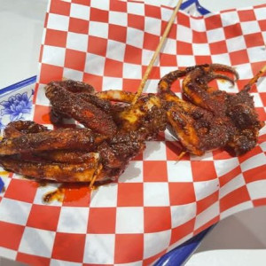 Squids (2 pcs) 鱿鱼须 