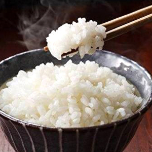 Rice 米饭