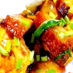 Roast Pork Belly & Tofu on Rice