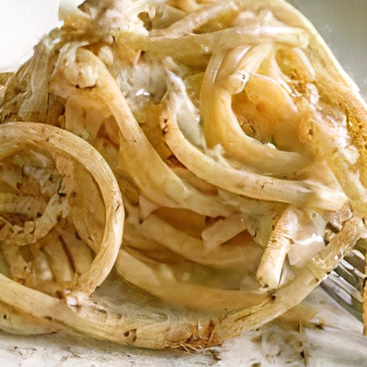 Spaghetti cacio e pepe
