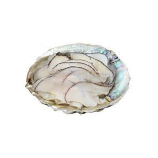 Imitation Abalone & Ham