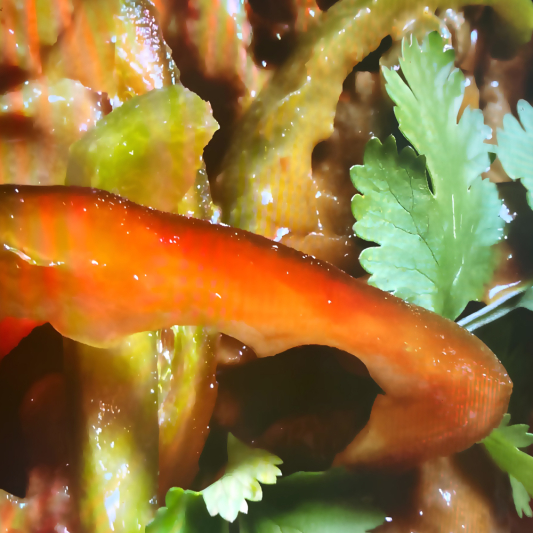 Stir-Fried Beef with Pepper Sauce