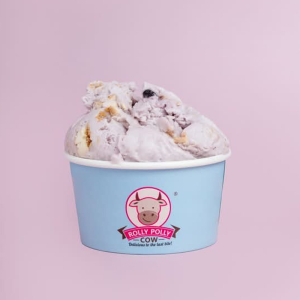 Blueberry Cheesecake Scoop