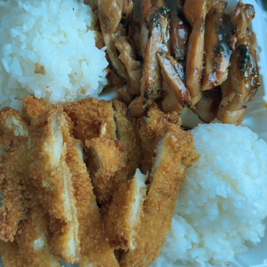 Chicken + Chicken Katsu